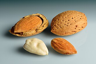 Roasted Nuts